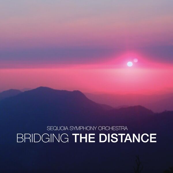 Cover art for Bridging the Distance